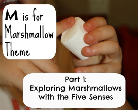 Unveiling the Delights of Blissful Time Marshmallow Magic